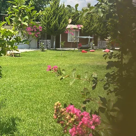 Sah * Kemer