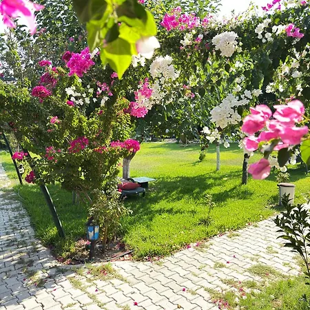 Villa Sah Kemer