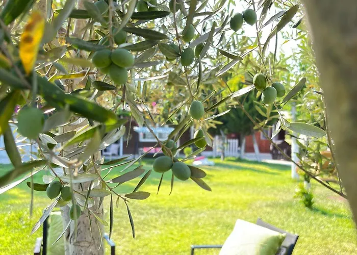 빌라 Sah 케메르