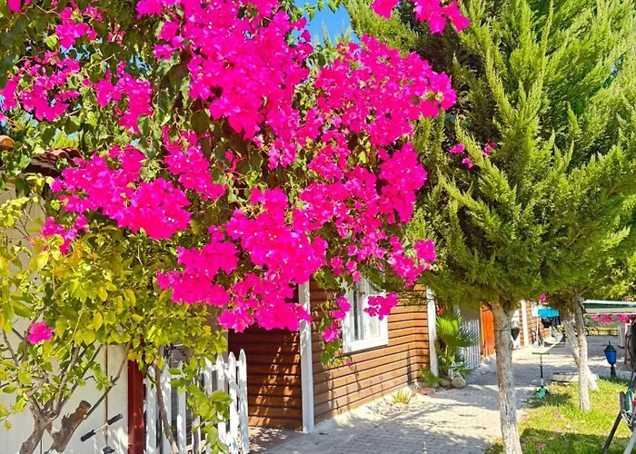Sah Villa *
