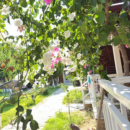 Sah Kemer