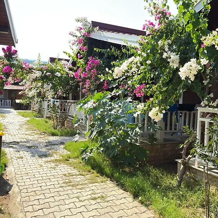 Sah * Kemer