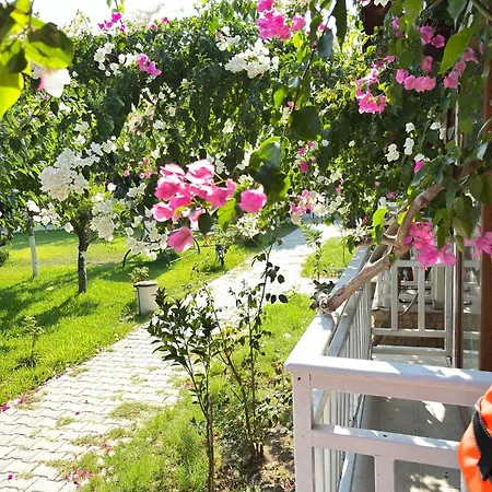 Villa Sah *