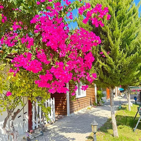 Sah Villa *